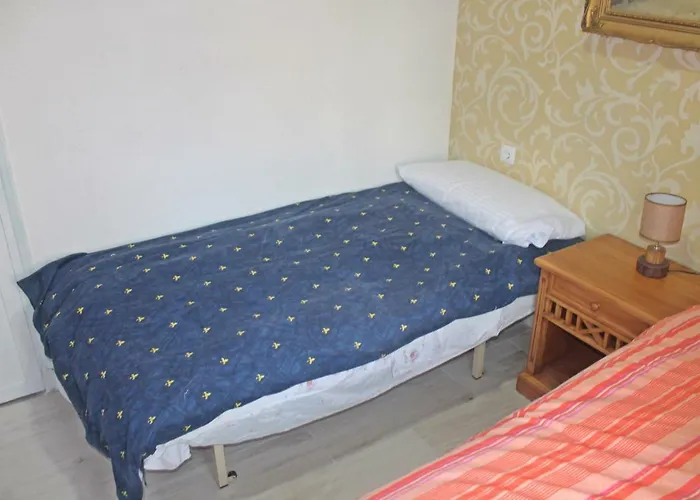 Con Terraza En Alicante